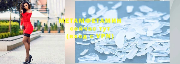 индика Белая Холуница