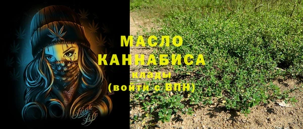 индика Нефтекумск