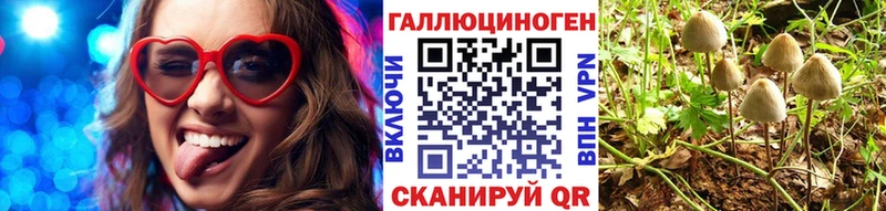 Псилоцибиновые грибы Cubensis  Любань 